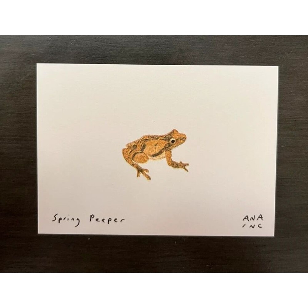 Ana Inciardi Mini Print - Spring Peeper